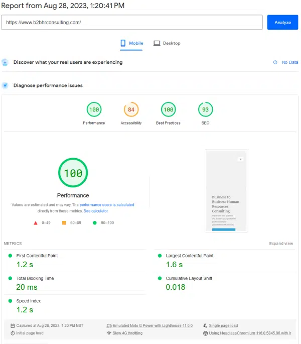 B2B HR Consulting Google PageSpeed score new website