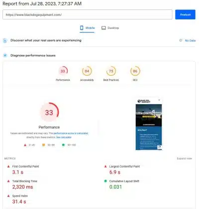 Black Dog Equipment's Google PageSpeed score